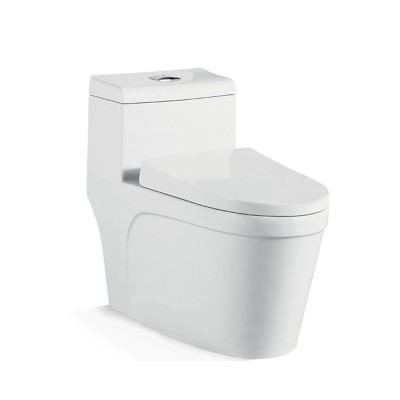 Elegant two piece water closet latest model